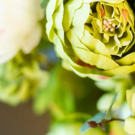 Harmony 4 People With Ac By Nw Апартаменты